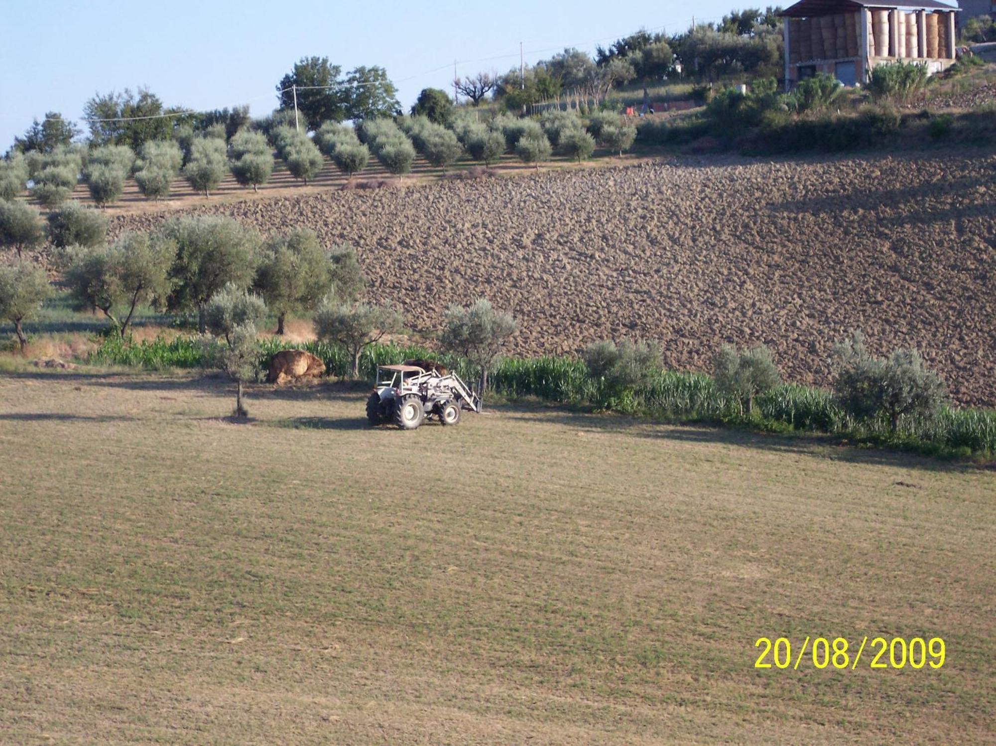 Agriturismo Il Vecchio Carro Campli Екстер'єр фото
